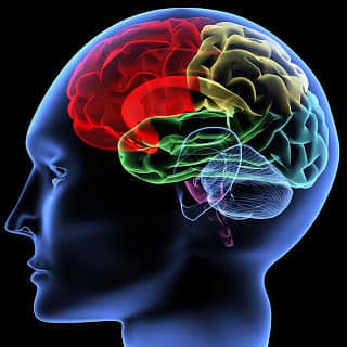 neuroscience