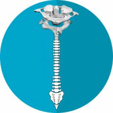 méthode de chiropratique